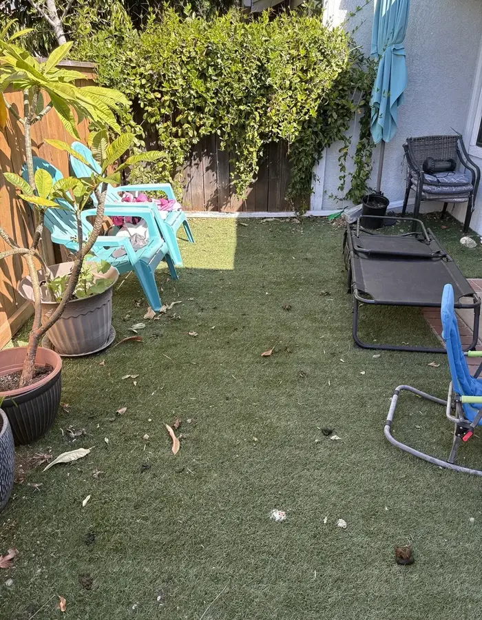 Artificial turf before Doggy Duties cleanup