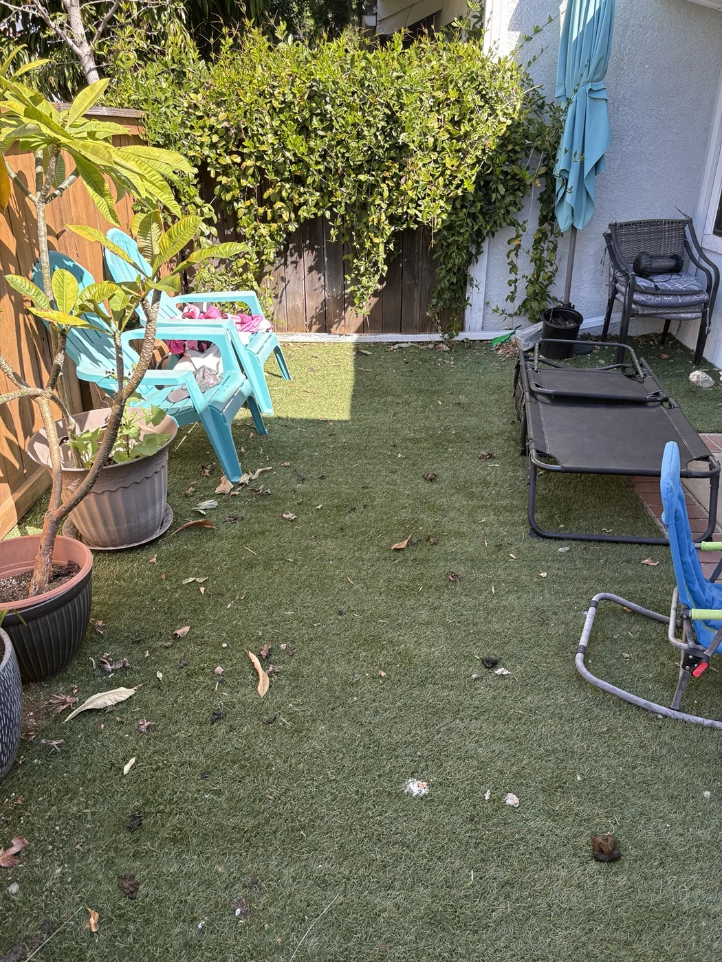 Artificial turf yard before Doggy Duties cleanup